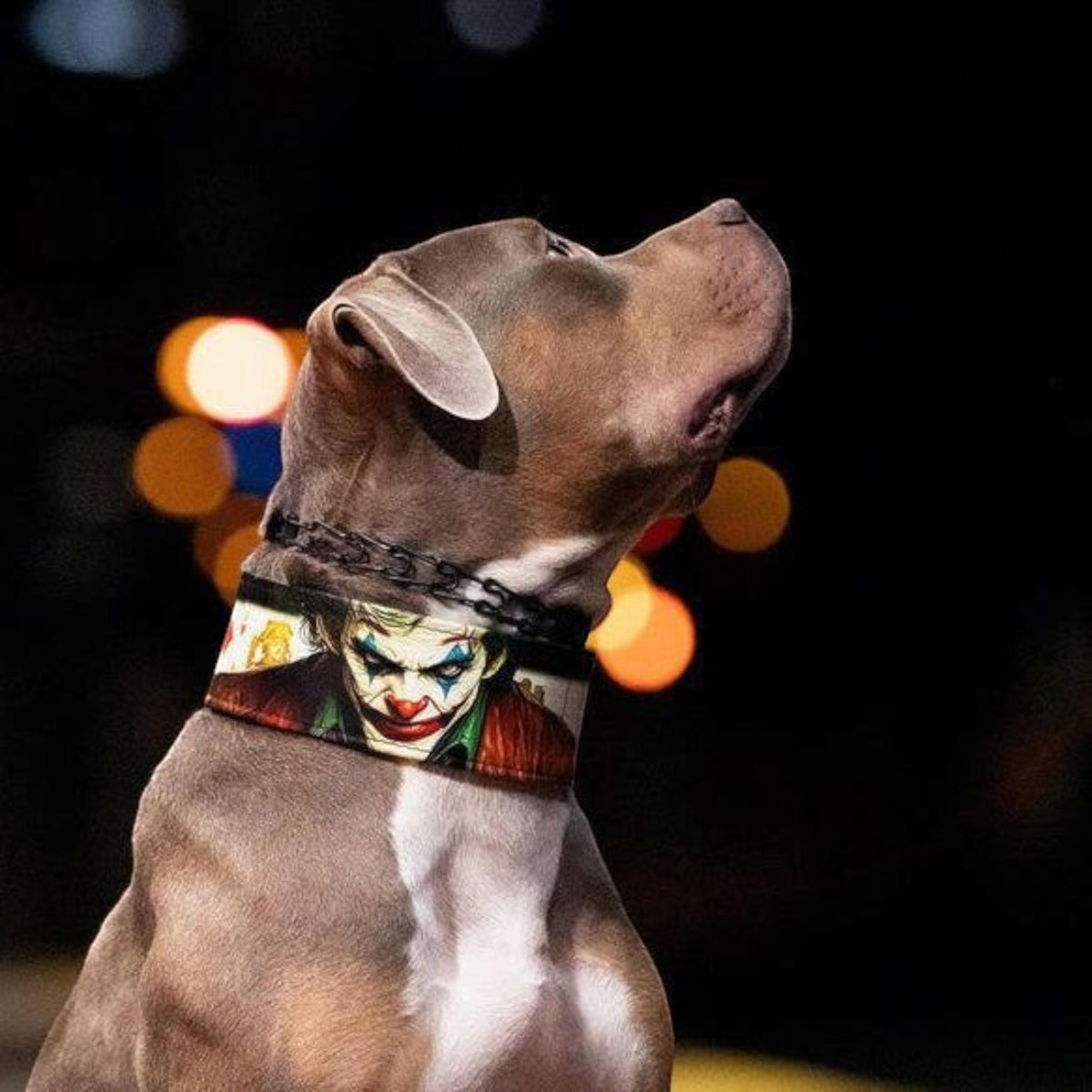 Chien portant un collier en cuir MITZON inspiré du Joker avec rembourrage confortable et motif imprimé détaillé.