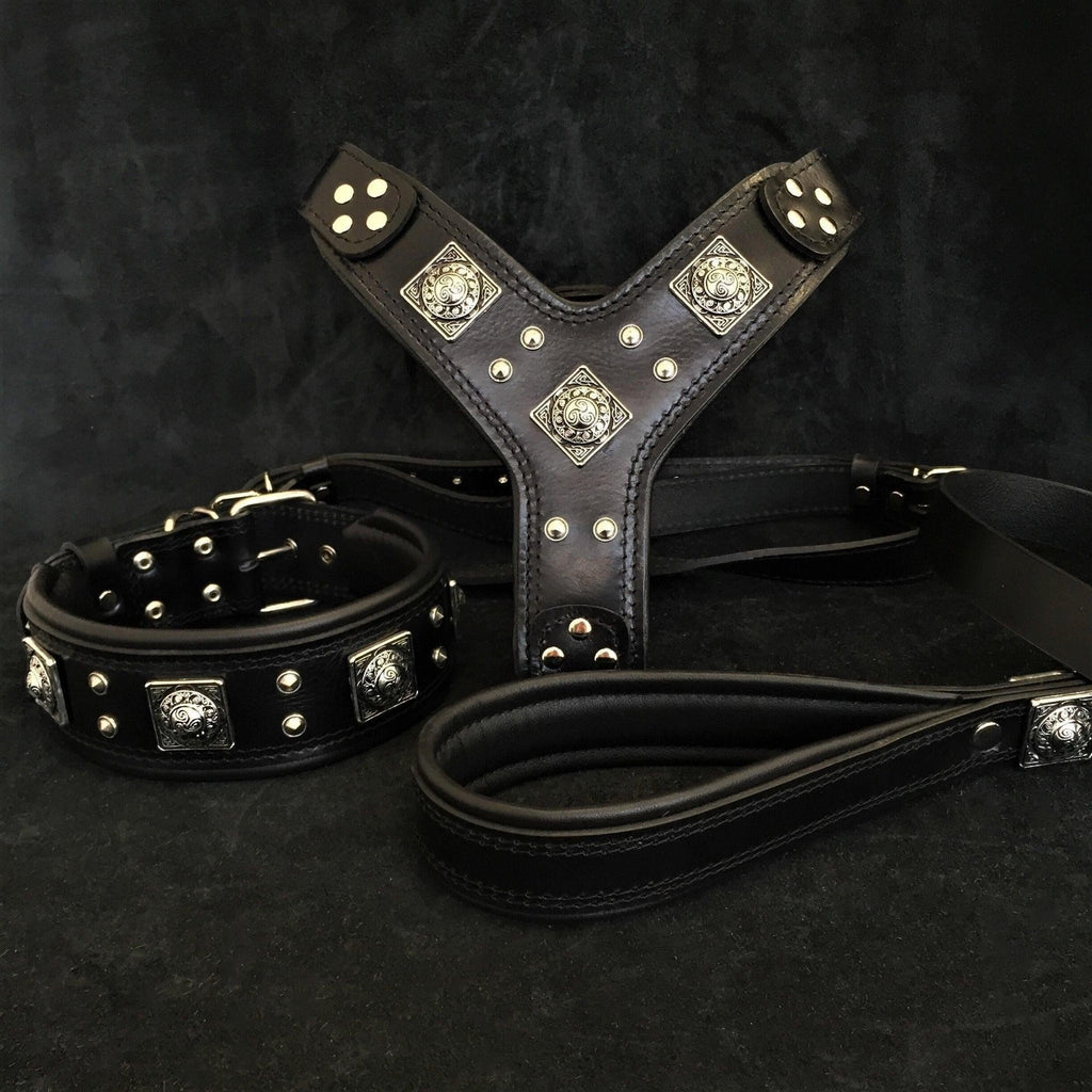Ensemble MITZON Eros pour grand chien en cuir noir avec harnais, collier et laisse ornés de rivets en argent vieilli.