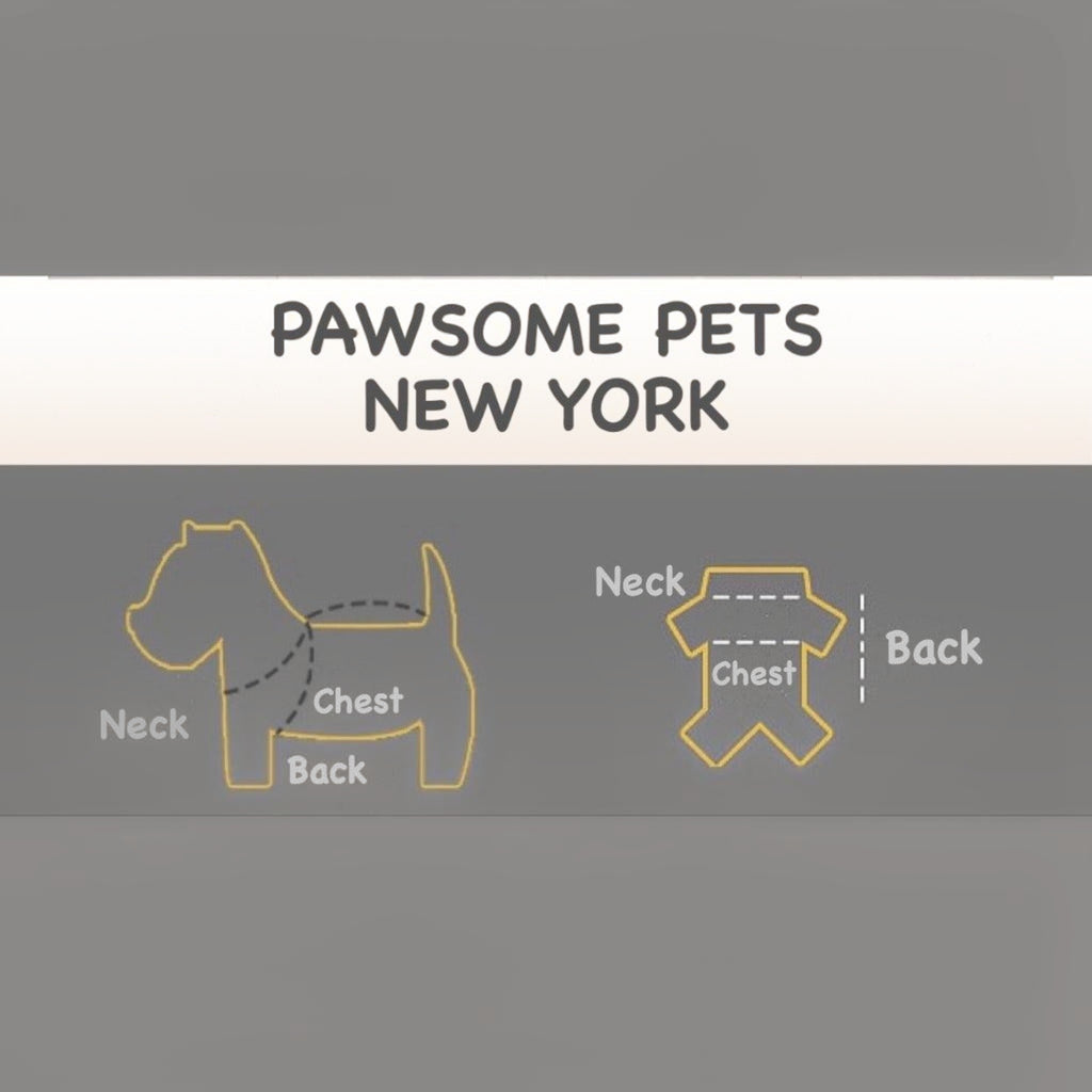 Guide des tailles MITZON pour pull en maille pour chien illustrant les mesures du cou, du poitrail et du dos