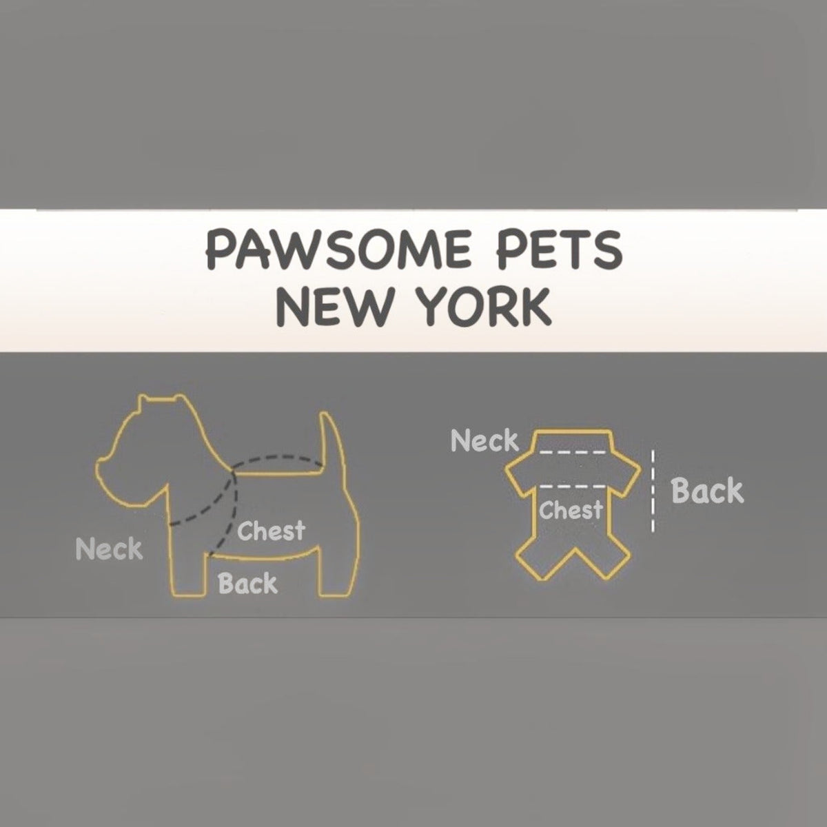 Guide des tailles MITZON pour pull en maille pour chien illustrant les mesures du cou, du poitrail et du dos