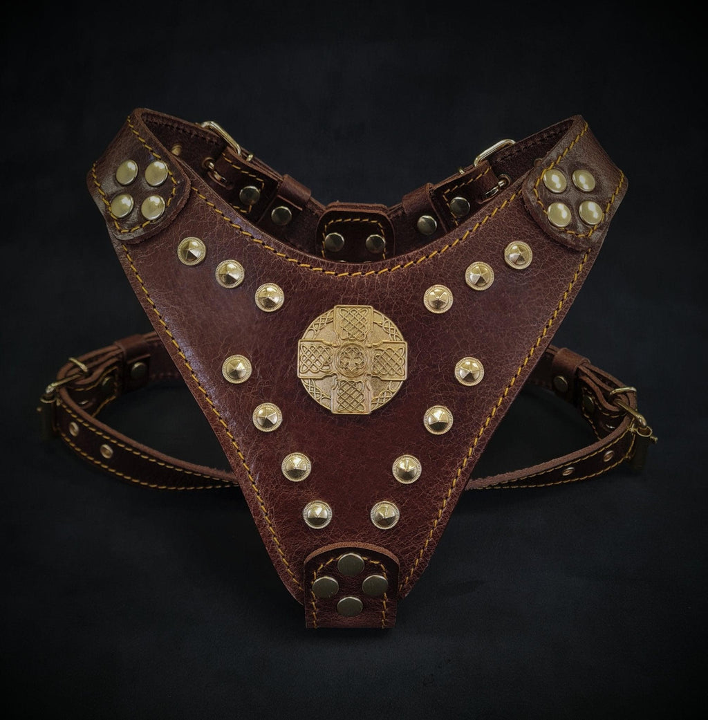 Harnais pour chien MITZON Maximus en cuir marron avec rivets dorés et plaque de poitrine ornementale