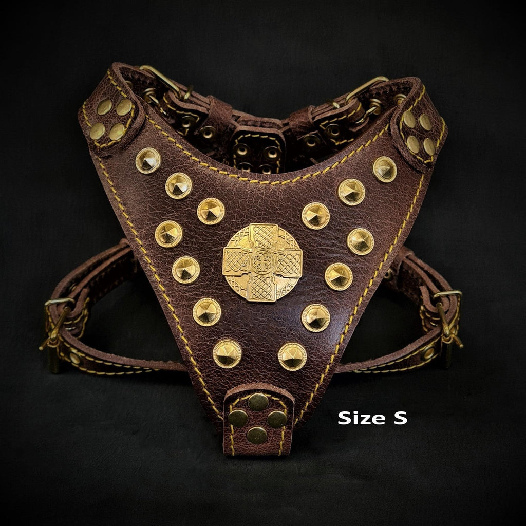 Harnais pour chien MITZON Maximus en cuir marron avec rivets dorés et plaque de poitrine rembourrée