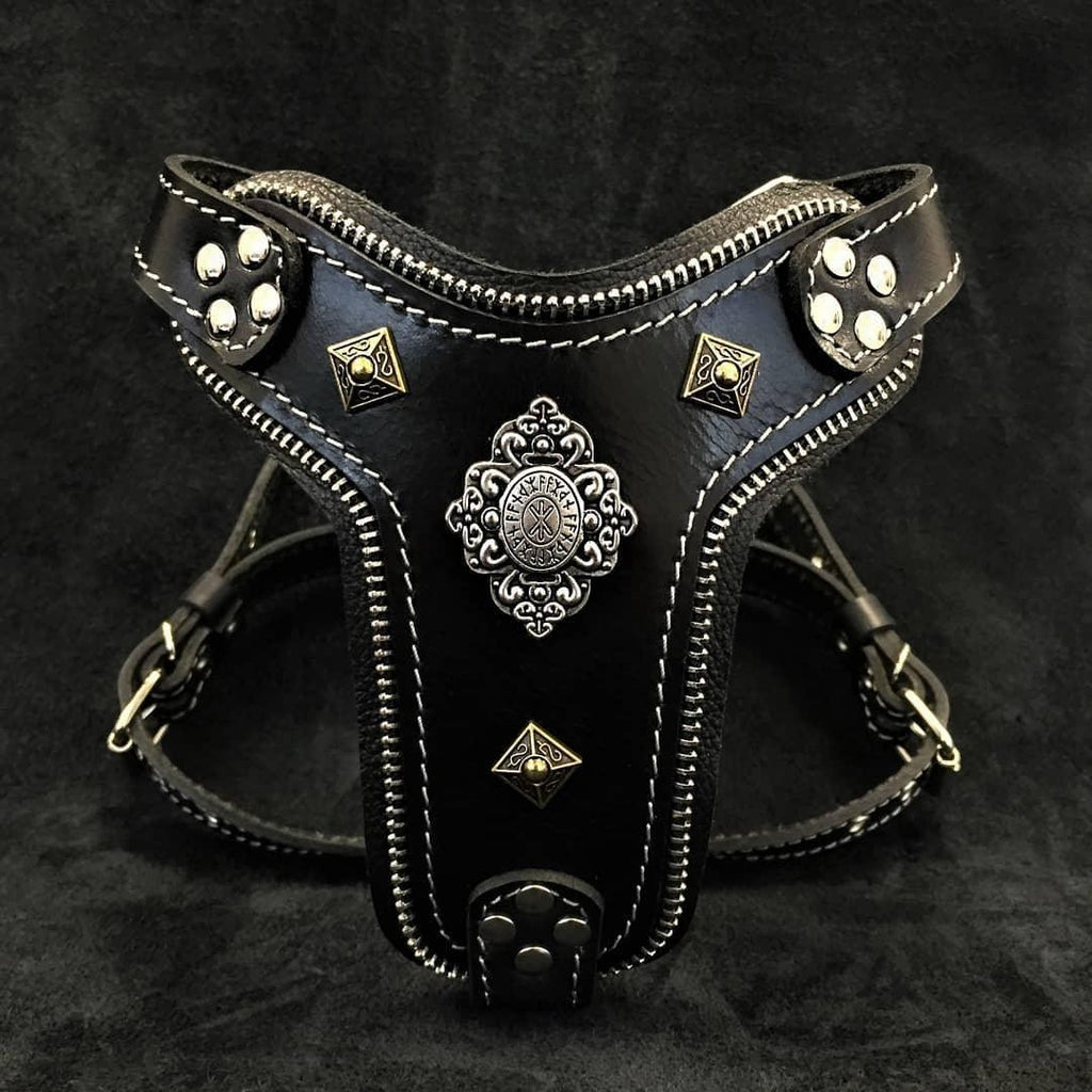 Harnais pour chien MITZON Aztec en cuir noir avec rivets argentés et laiton, détails fermeture éclair et rembourrage