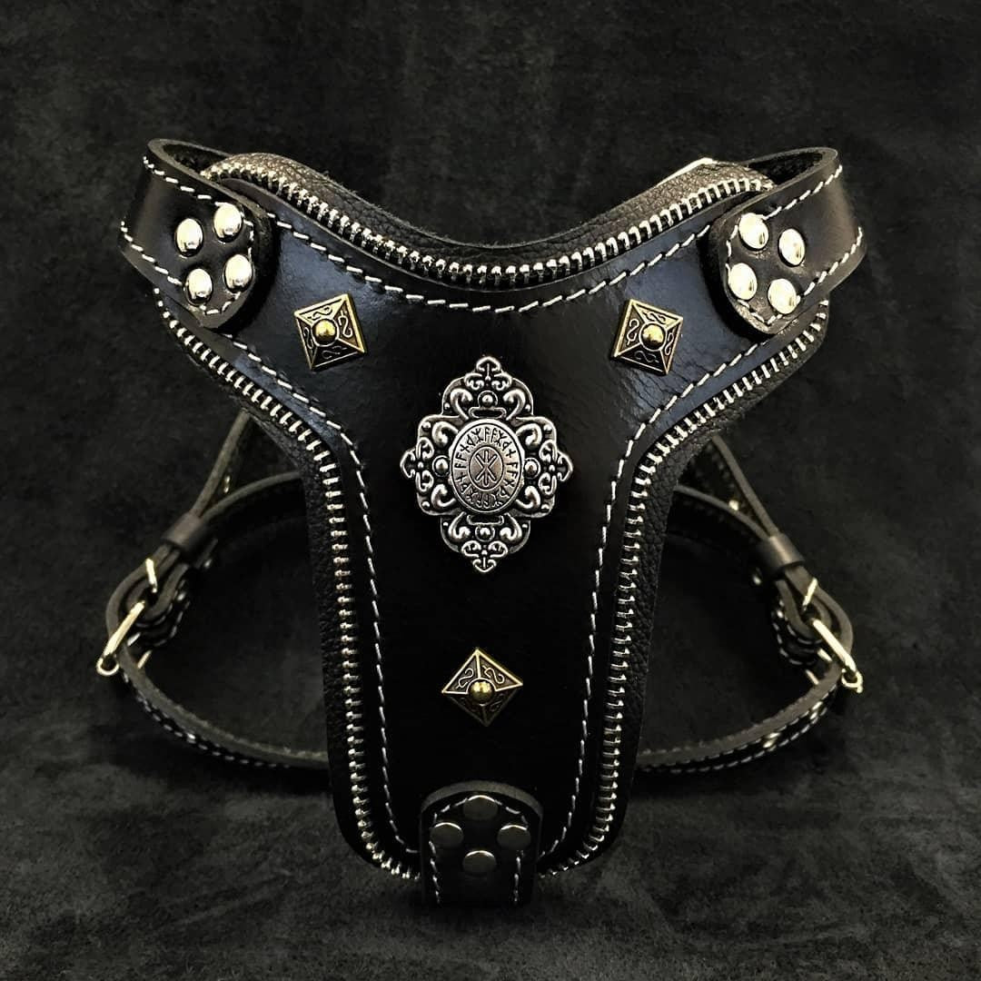 Harnais pour chien MITZON Aztec en cuir noir avec rivets argentés et laiton, détails fermeture éclair et rembourrage
