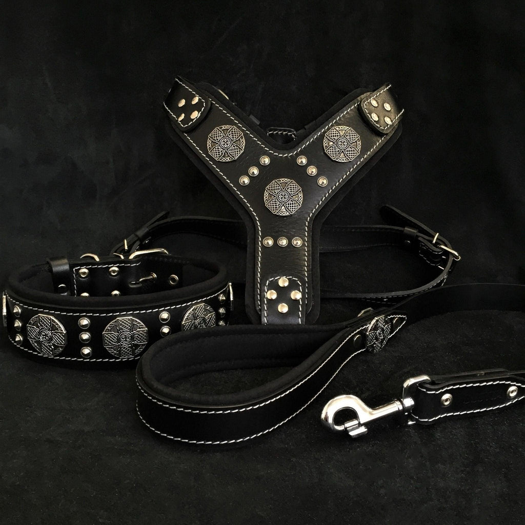 Ensemble MITZON Maximus Silver pour chien en cuir noir avec harnais, collier et laisse à rivets argentés rembourrés