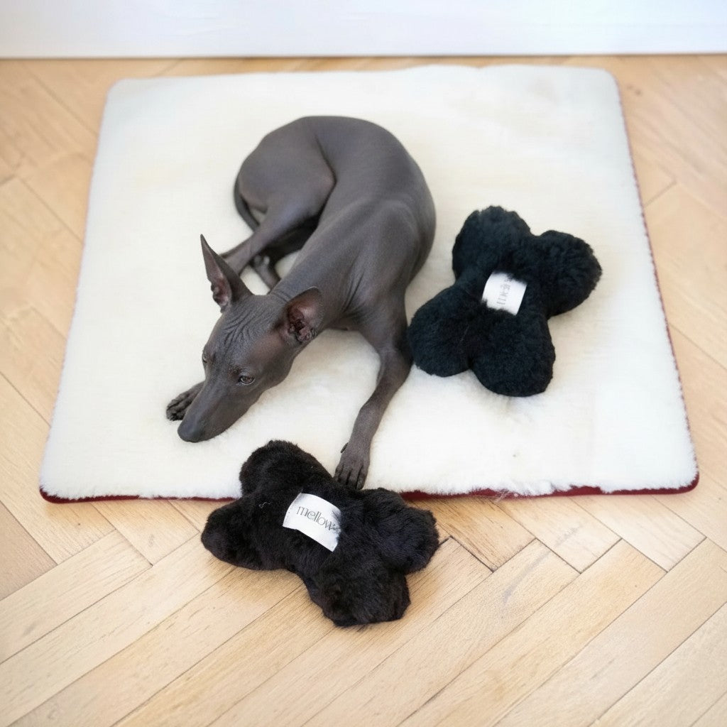 Hueso piel oveja perros negro juguete natural MITZON