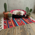 Cama MITZON negra y roja motivo floral - cachorro blanco durmiendo en tapete bohème colorido - premium para perros