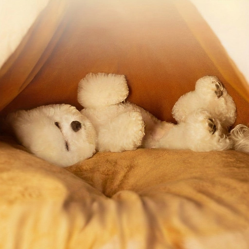 Petit chien blanc dormant confortablement dans une tente pour animaux MITZON marron style yourte en polyester
