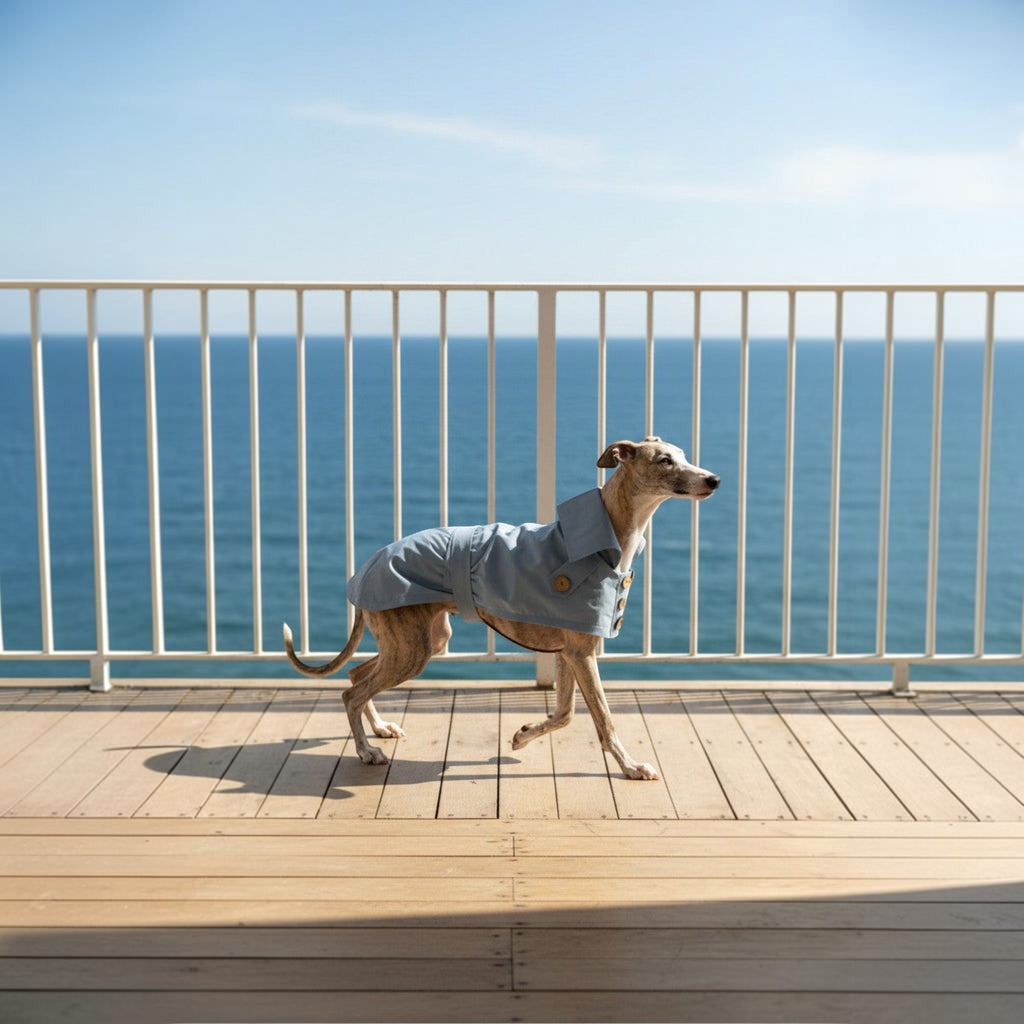 Chien portant un trench-coat imperméable bleu clair MITZON en coton avec boutons en noix de coco sur une terrasse