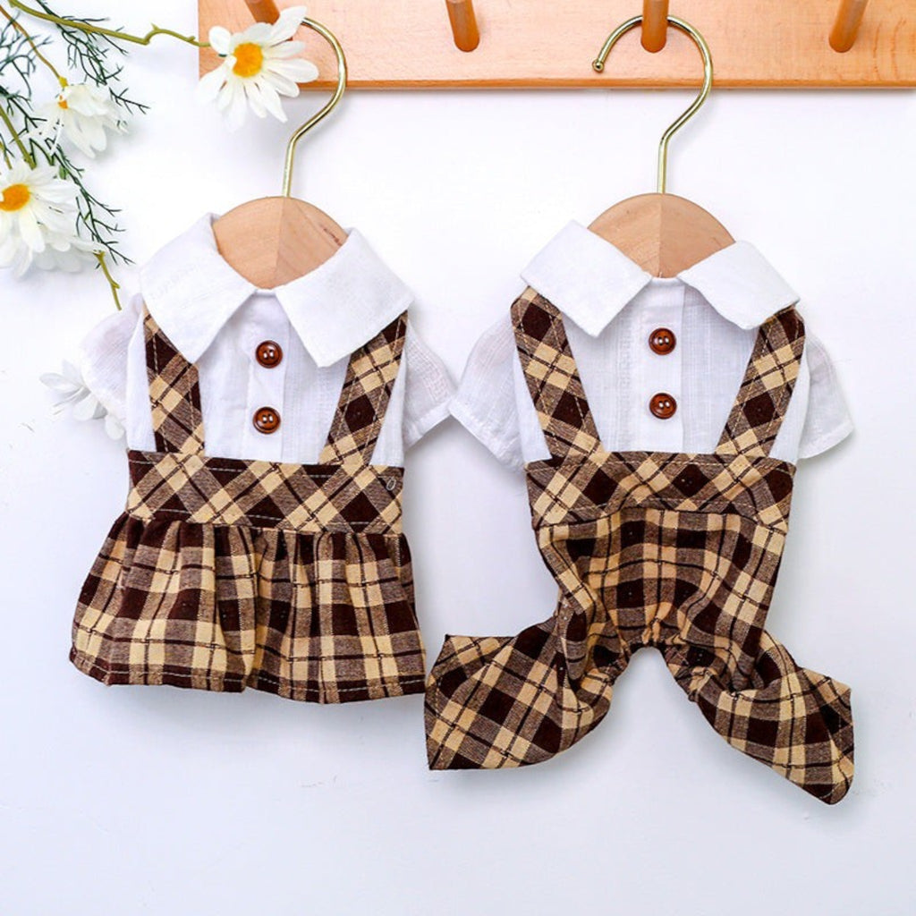 Cachorro Schnauzer con conjunto MITZON cuadros marrón y blanco - cuello camisa y pantalón algodón - moda canina premium