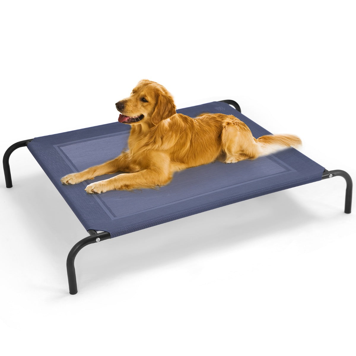 Cama elevada XL para perros grandes MITZON - uso interior y exterior