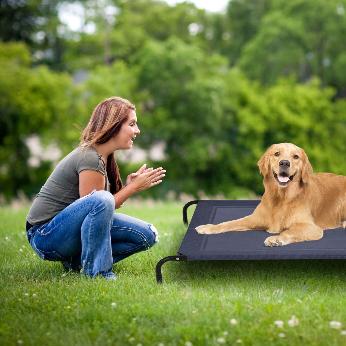 Cama elevada XL para perros grandes MITZON - uso interior y exterior