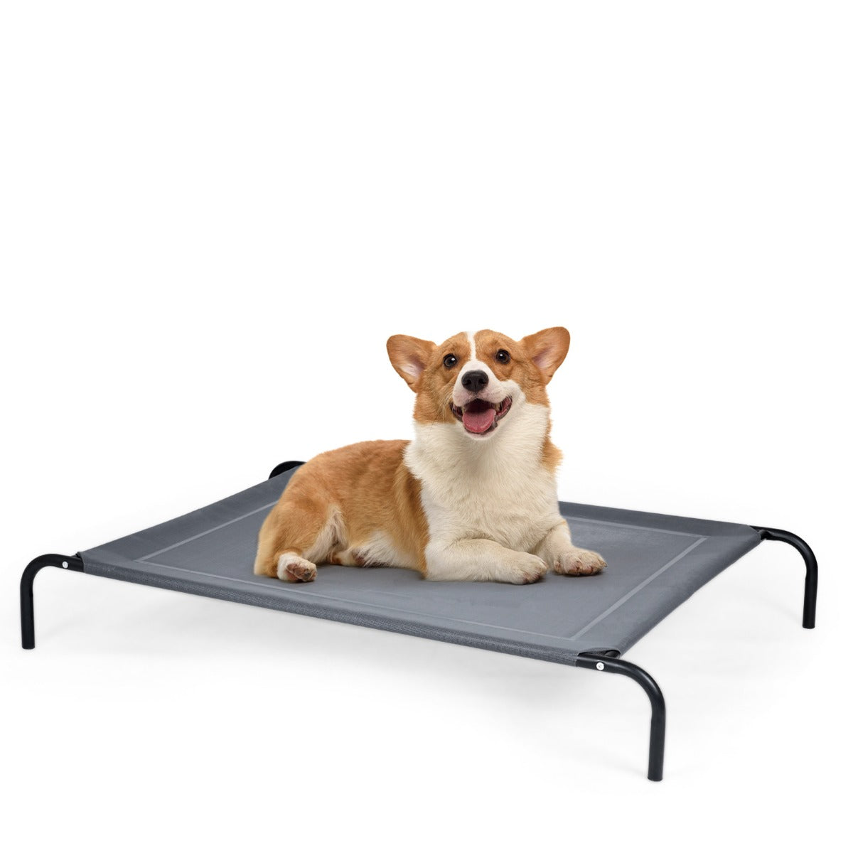 Cama elevada para perros grandes MITZON - uso interior y exterior NNECW