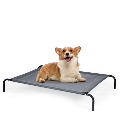 Cama elevada para perros grandes MITZON - uso interior y exterior NNECW