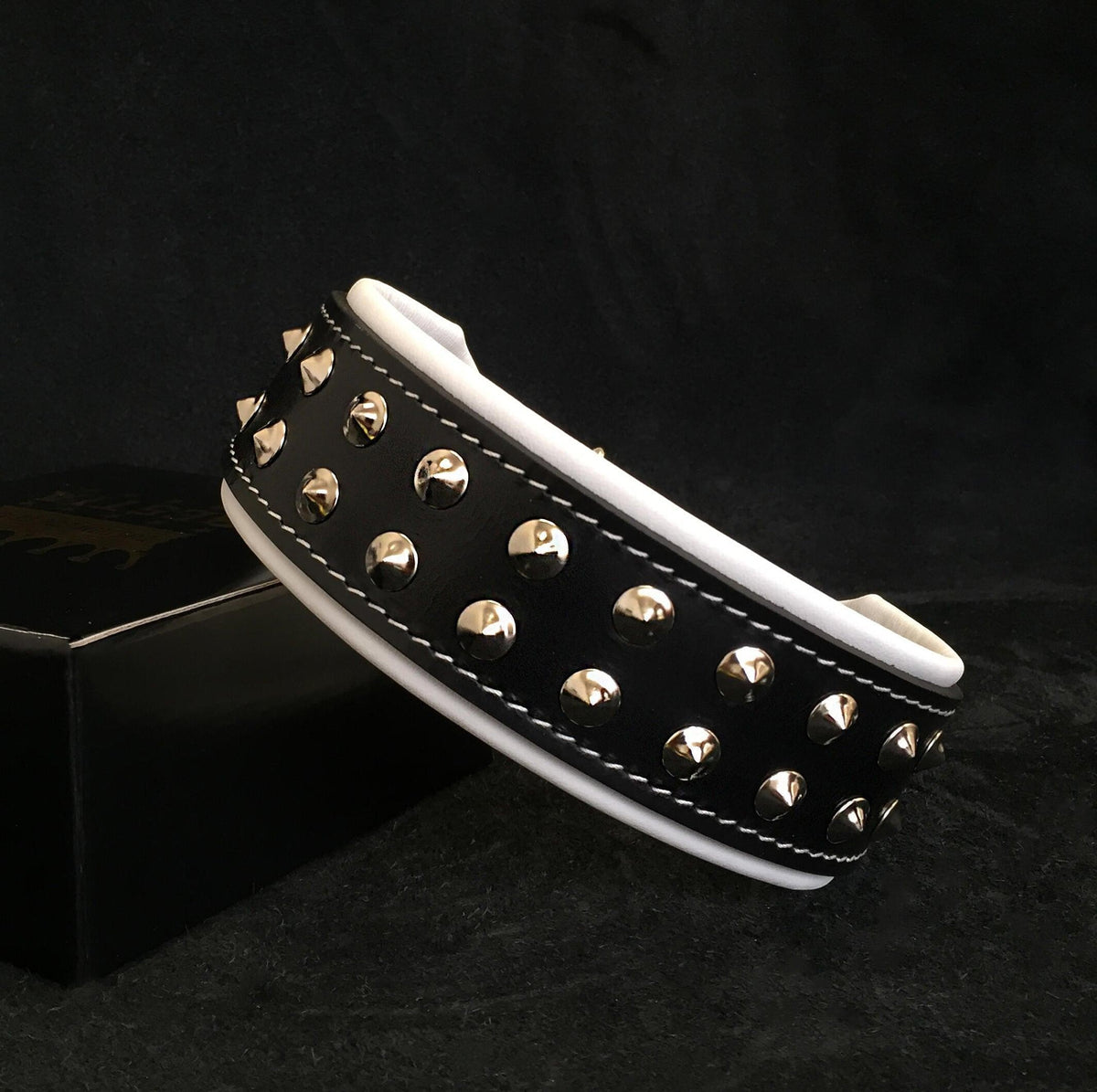 Collar Boston MITZON - diseño urbano sofisticado para perros