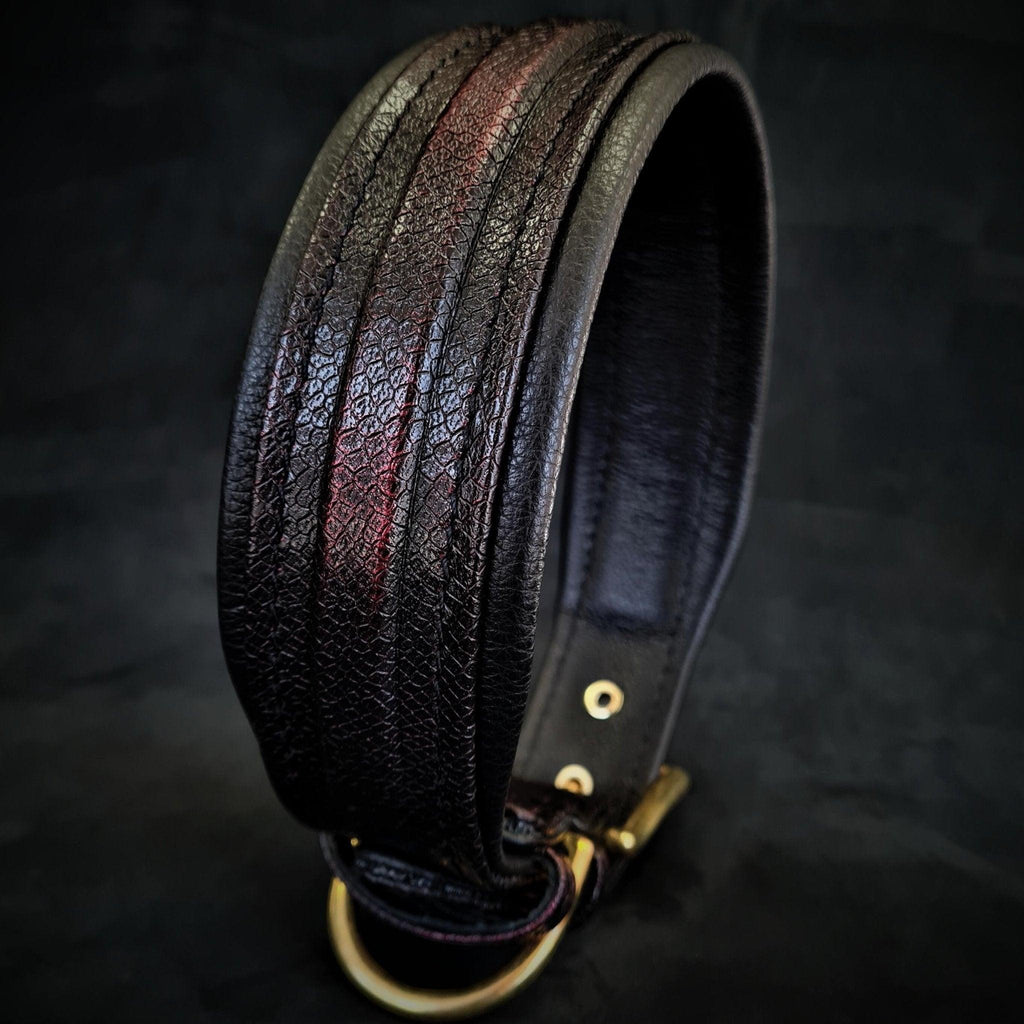 Collar Cobra premium para perros - estilo urbano y elegante - MITZON