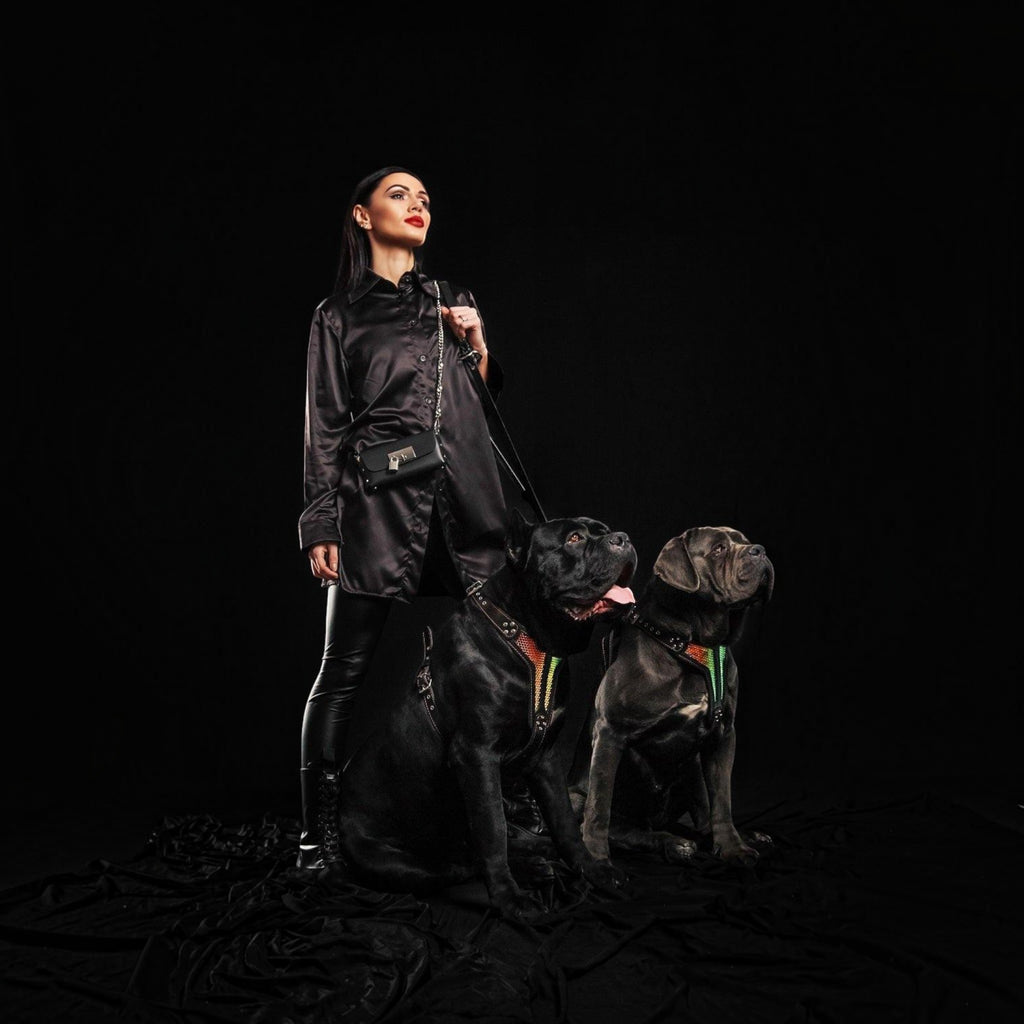 Arnés D'Albertis LIMITED premium para perros - textura estilo Prada exclusiva - MITZON