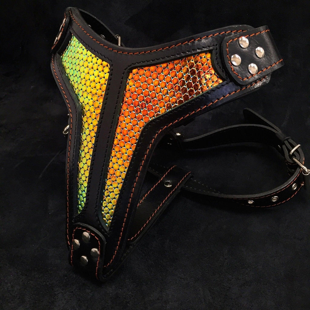 Detalle arnés D'Albertis LIMITED para perros - costuras premium cuero negro MITZON