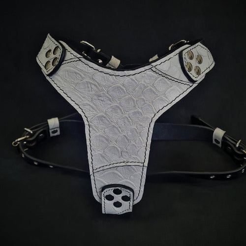 Arnés "Dragon Scale" talla mediana para perro MITZON - accesorio premium diseño escamas elegante y resistente