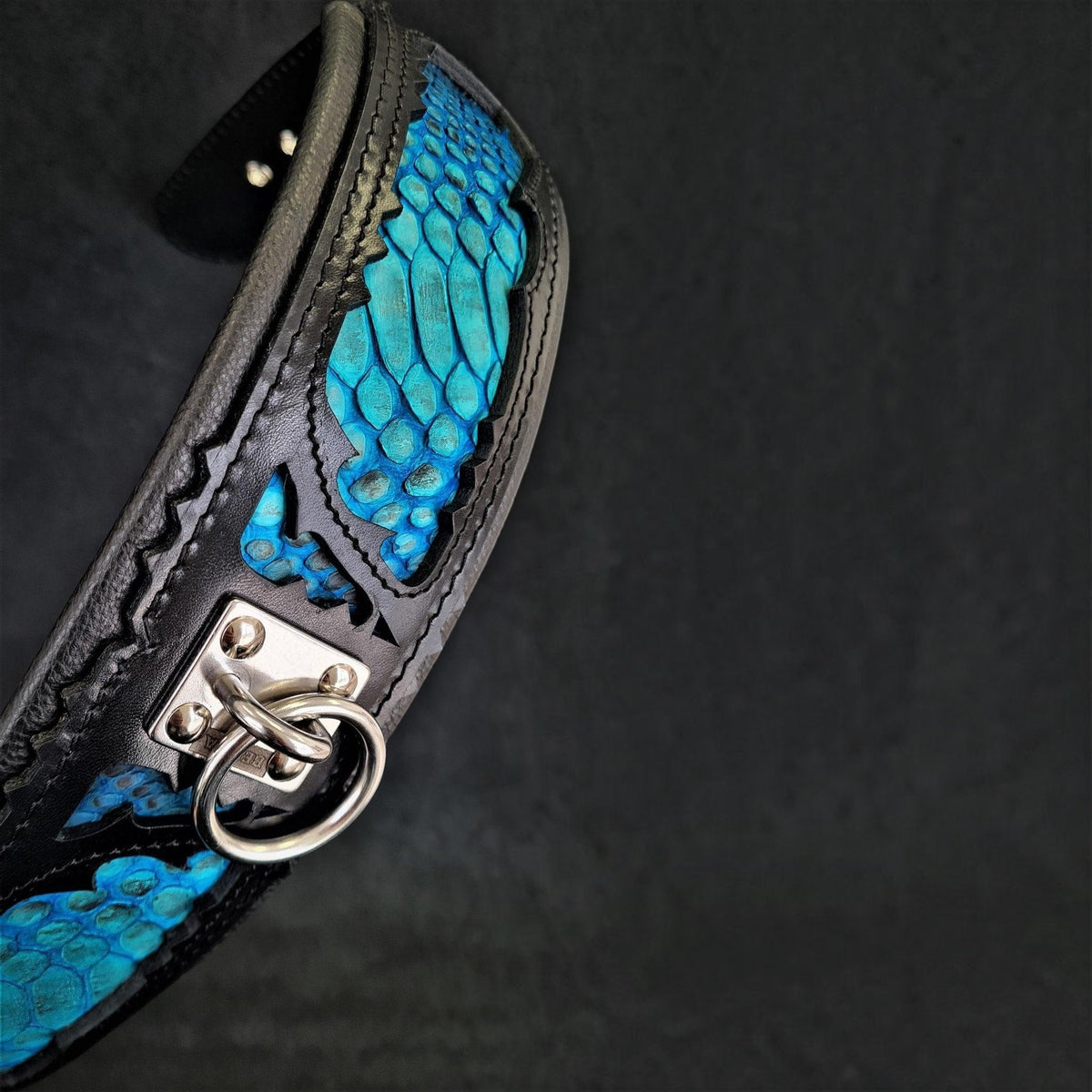 Collar "Morelia Python" para perro MITZON - accesorio premium estampado serpiente elegante y sofisticado