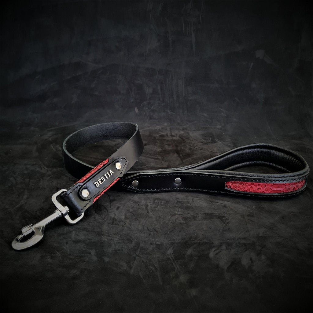 Correa Red Dragon para perros - diseño audaz rojo y negro - MITZON