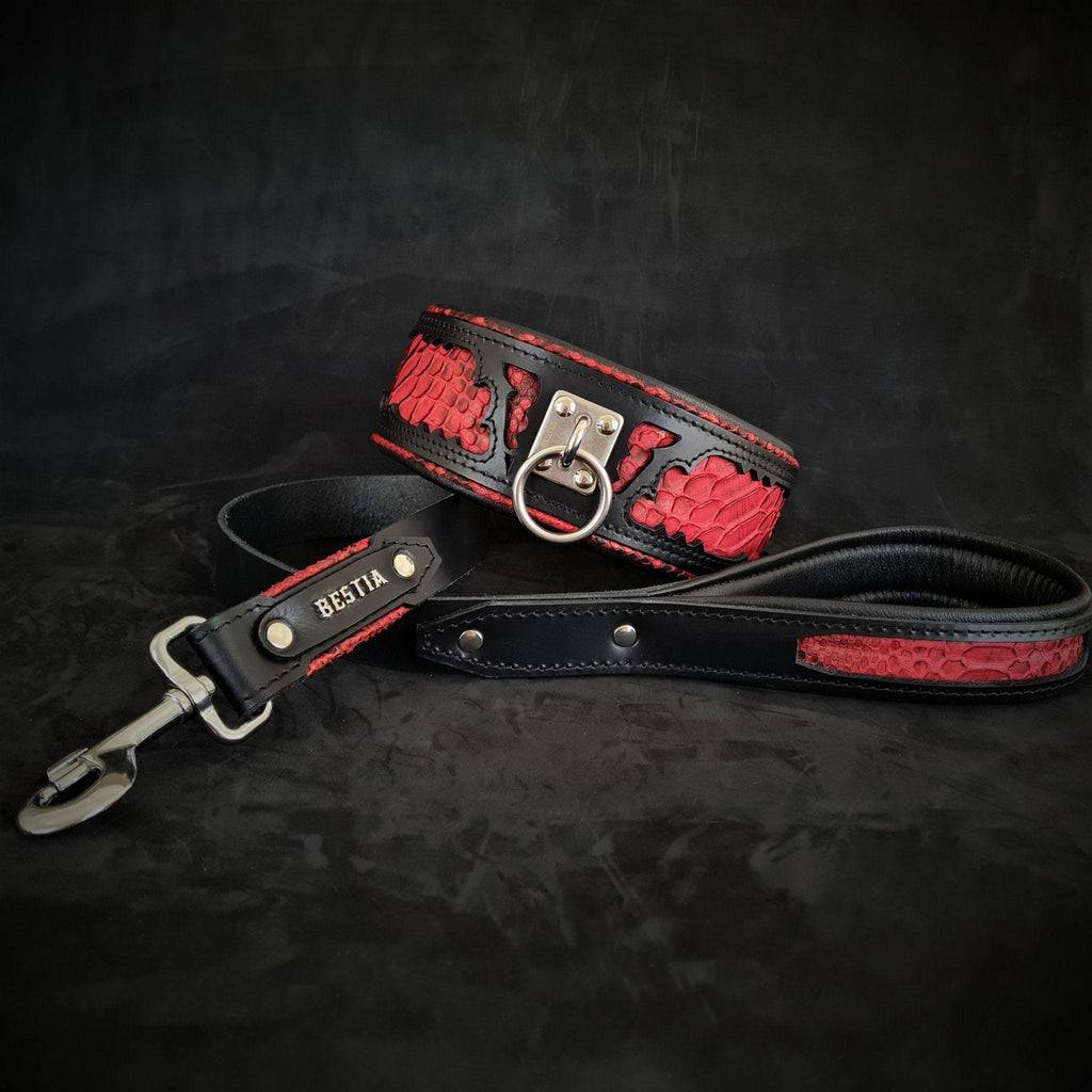 Correa Red Dragon premium para perros - estilo poderoso y resistente - MITZON