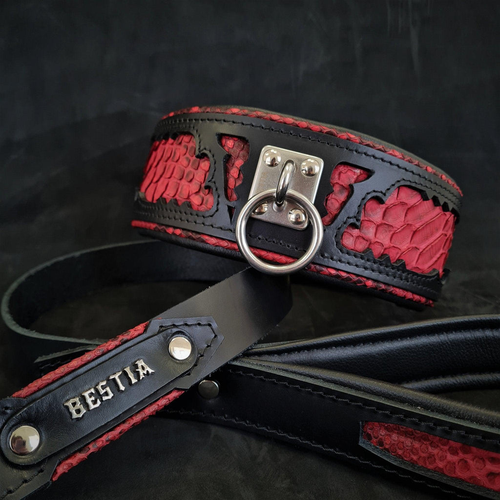 Detalle correa Red Dragon para perros - acabados premium dark luxury MITZON