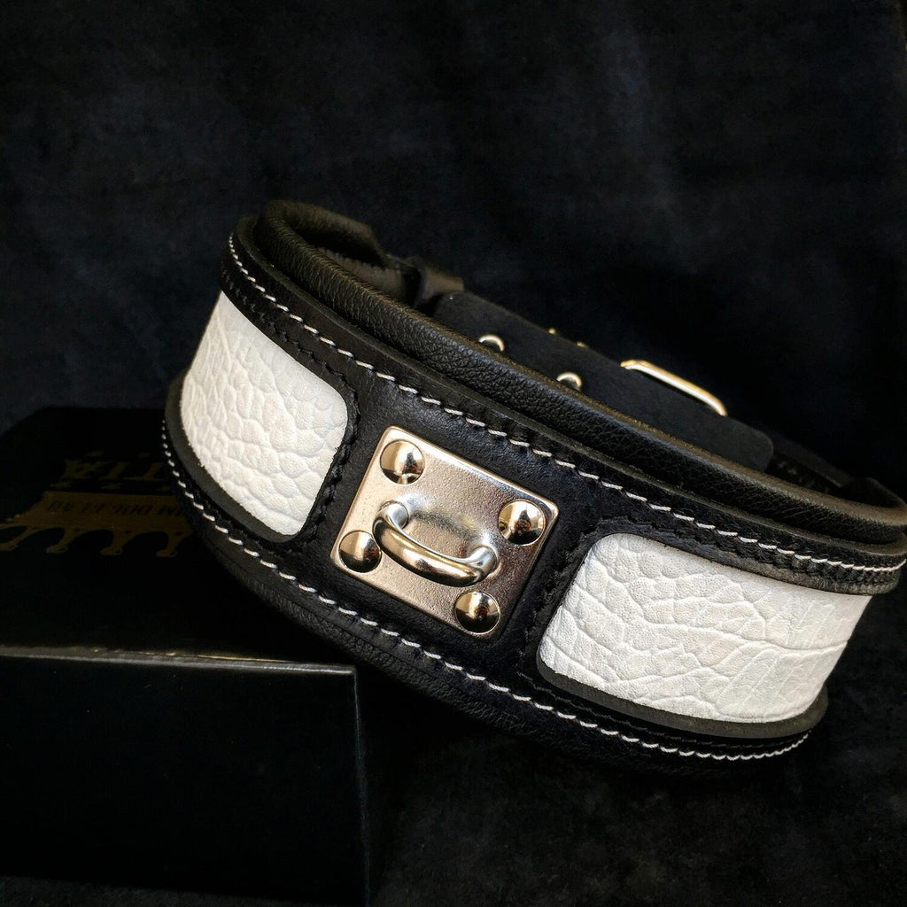 Detalle collar Reptile para perros - acabados premium textura reptil MITZON