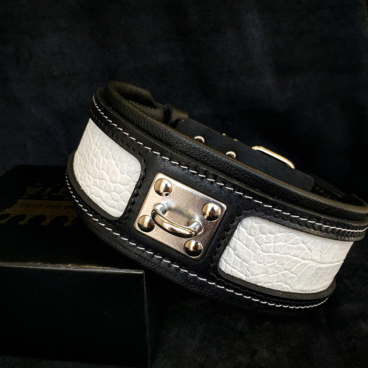 Detalle collar Reptile para perros - acabados premium textura reptil MITZON