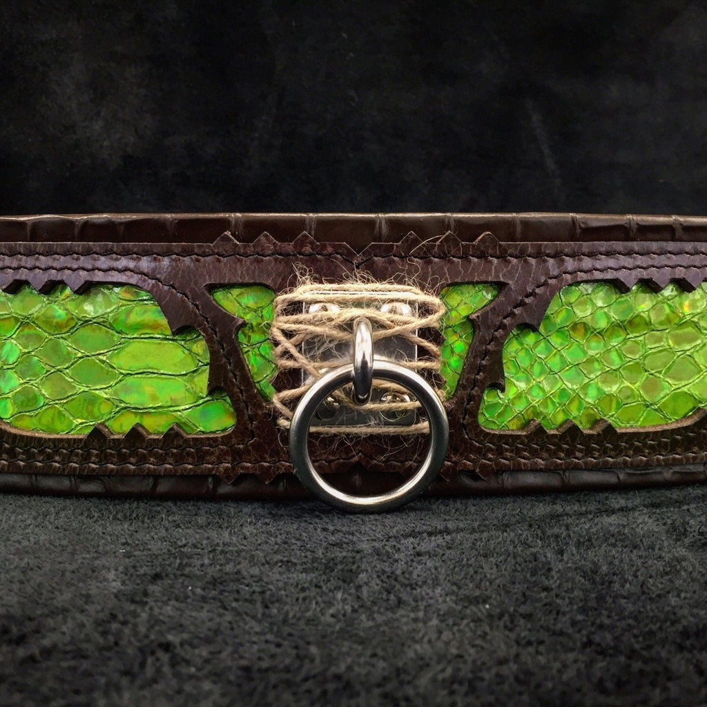 Collar Venom premium MITZON para perros - cuero genuino y acabados de lujo